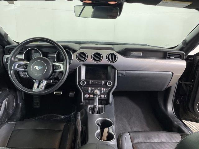 2022 Ford Mustang Vehicle Photo in PHOENIX, AZ 85014-3381