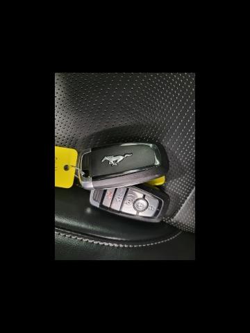 2024 Ford Mustang Vehicle Photo in Neenah, WI 54956