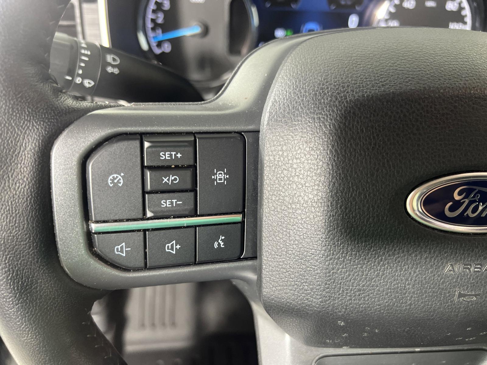 2022 Ford F-150 Vehicle Photo in GEORGETOWN, TX 78626-7508