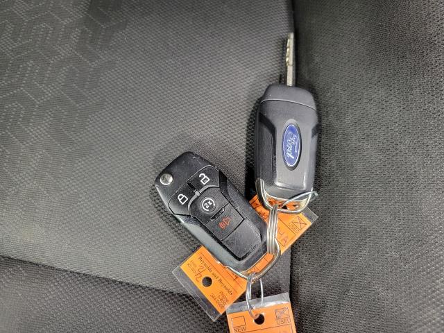 2020 Ford F-150 Vehicle Photo in Neenah, WI 54956