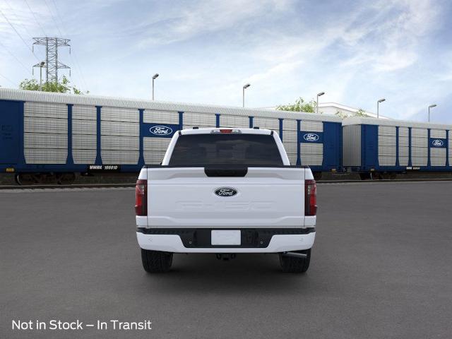 2025 Ford F-150 Vehicle Photo in Winslow, AZ 86047-2439