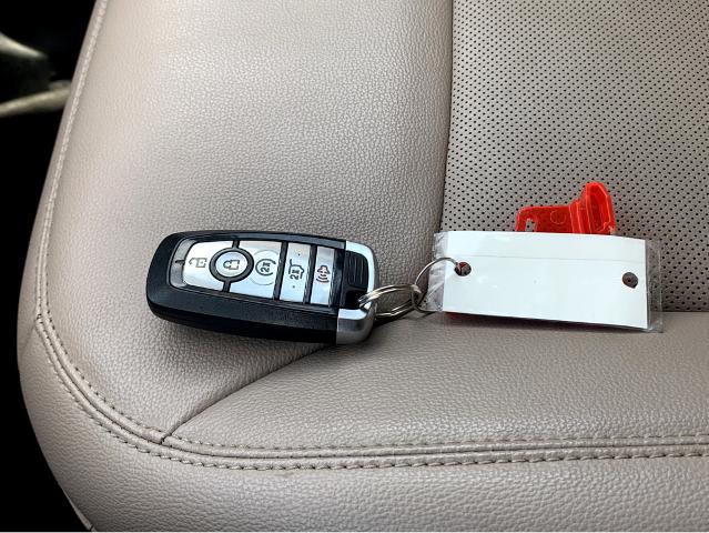 2023 Ford Explorer Vehicle Photo in BEAUFORT, SC 29906-4218