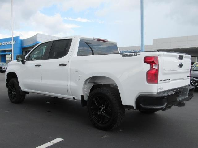 2025 Chevrolet Silverado 1500 Vehicle Photo in LEESBURG, FL 34788-4022