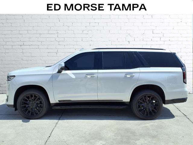 2022 Cadillac Escalade Vehicle Photo in Tampa, FL 33612