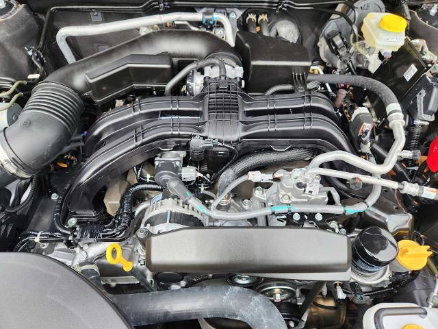 2025 Subaru Outback Vehicle Photo in DALLAS, TX 75209