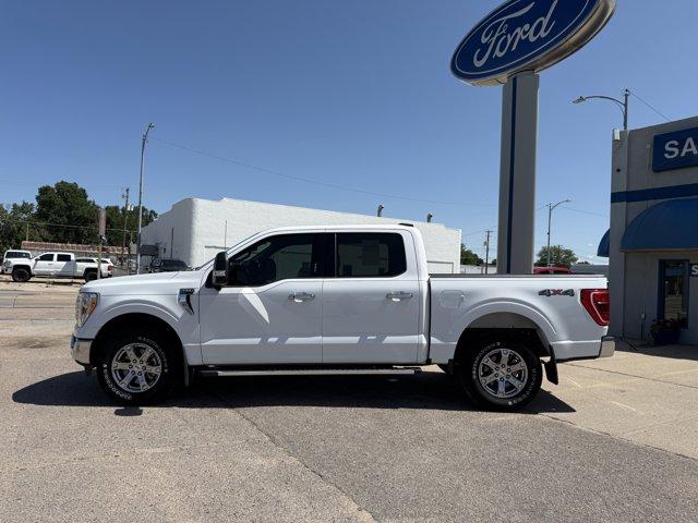 2023 Ford F-150 Vehicle Photo in Ogallala, NE 69153