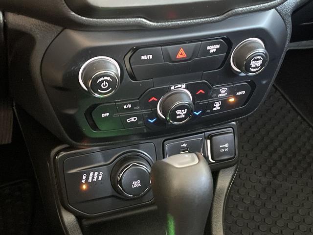 2020 Jeep Renegade Vehicle Photo in TURLOCK, CA 95380-4918