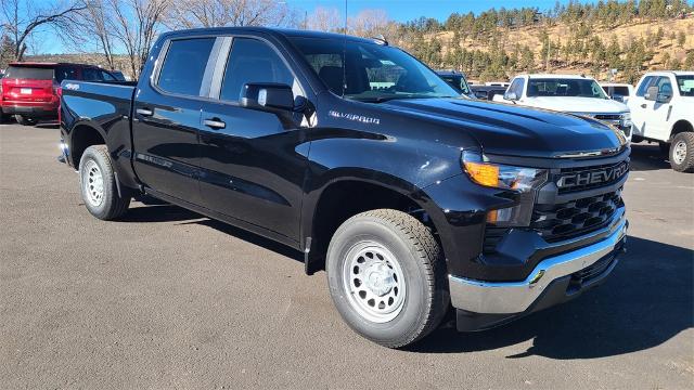 2025 Chevrolet Silverado 1500 Vehicle Photo in FLAGSTAFF, AZ 86001-6214