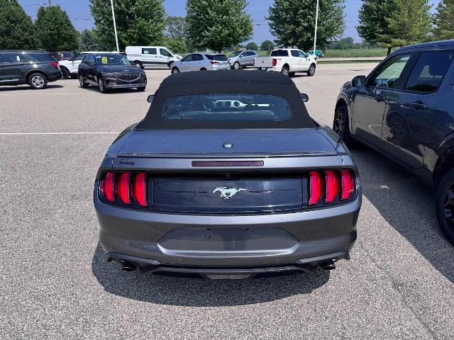 2022 Ford Mustang Vehicle Photo in Oshkosh, WI 54901