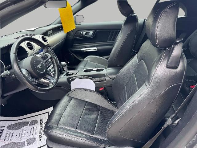 2022 Ford Mustang Vehicle Photo in Oshkosh, WI 54901