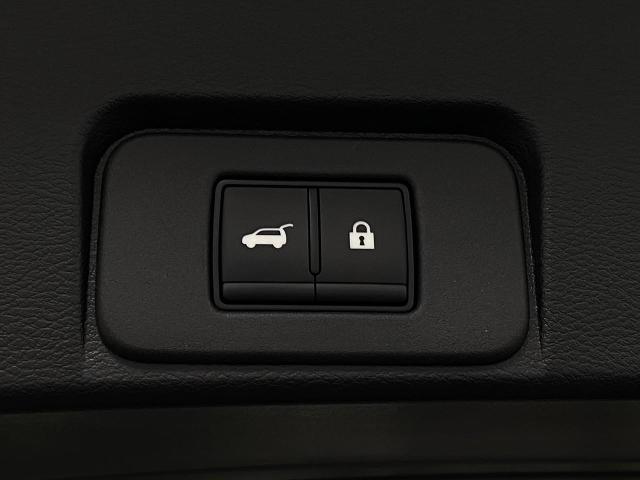 2025 Nissan Rogue Vehicle Photo in Oshkosh, WI 54904