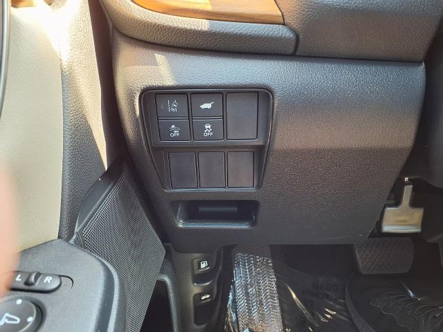 2019 Honda CR-V Vehicle Photo in Appleton, WI 54914