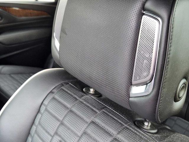 2024 Cadillac Escalade ESV Vehicle Photo in DENTON, TX 76210-9321