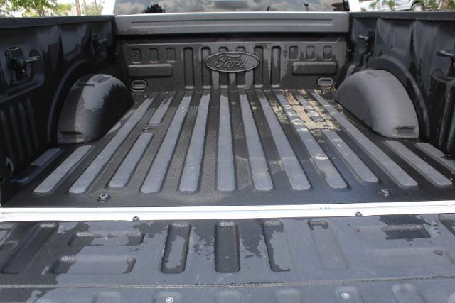 2019 Ford F-150 Vehicle Photo in HOUSTON, TX 77090