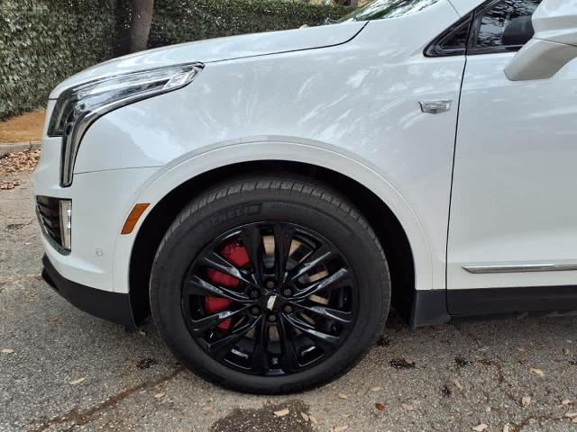 2022 Cadillac XT5 Vehicle Photo in San Antonio, TX 78230-1001