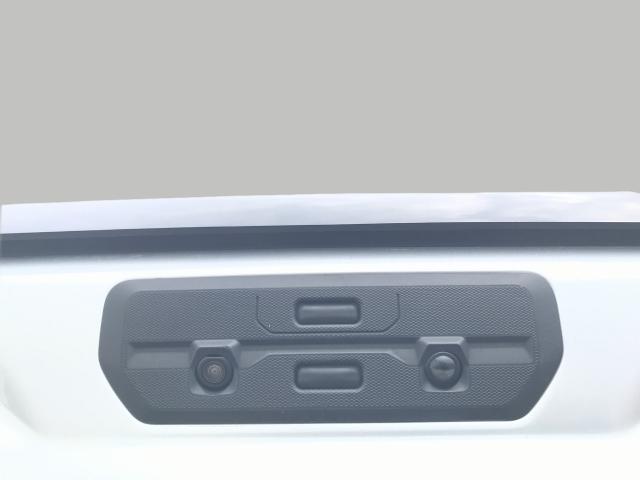 2021 GMC Sierra 1500 Vehicle Photo in GREEN BAY, WI 54303-3330