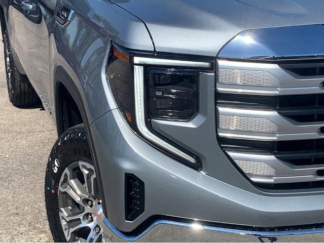 2025 GMC Sierra 1500 Vehicle Photo in BEAUFORT, SC 29906-4218