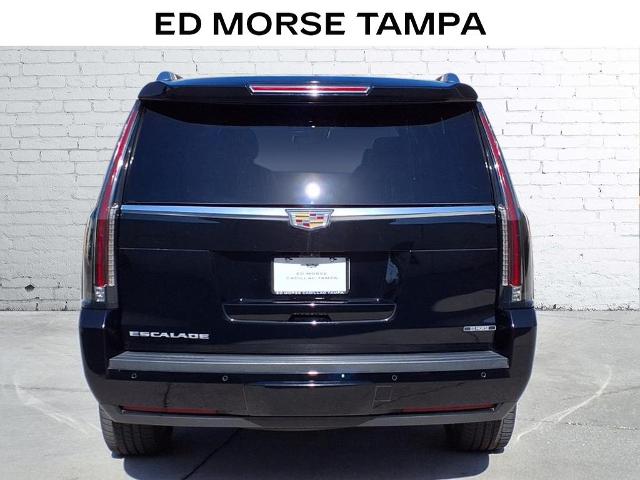 2019 Cadillac Escalade Vehicle Photo in Tampa, FL 33612