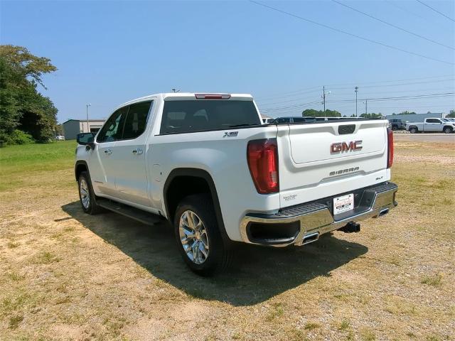 2021 GMC Sierra 1500 Vehicle Photo in ALBERTVILLE, AL 35950-0246