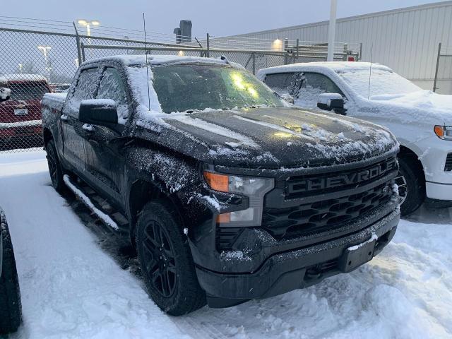 2022 Chevrolet Silverado 1500 Vehicle Photo in APPLETON, WI 54914-4656