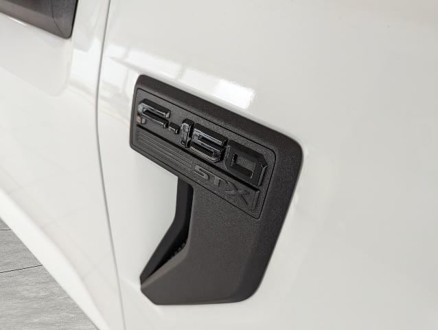 2023 Ford F-150 Vehicle Photo in Oshkosh, WI 54901