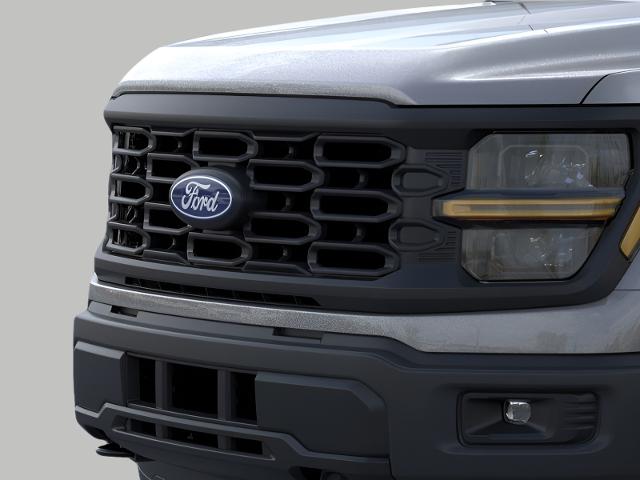 2025 Ford F-150 Vehicle Photo in Oshkosh, WI 54901