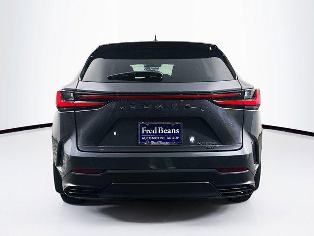 2024 Lexus NX 350 Vehicle Photo in Flemington, NJ 08822