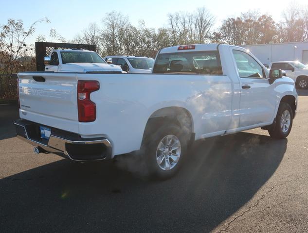 2023 Chevrolet Silverado 1500 Vehicle Photo in JASPER, GA 30143-8655