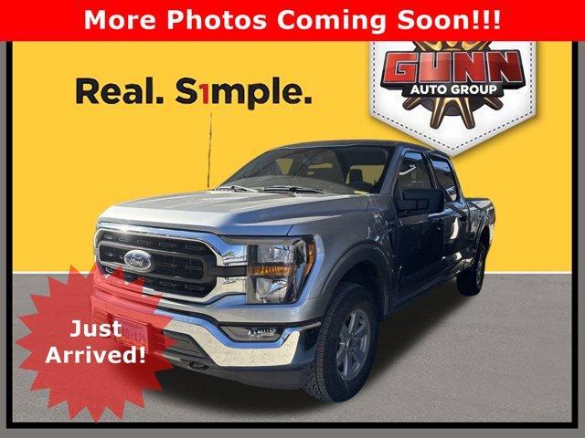 2023 Ford F-150 Vehicle Photo in SELMA, TX 78154-1459