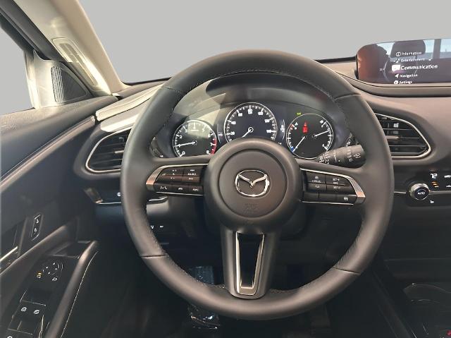 2025 Mazda CX-30 Vehicle Photo in Green Bay, WI 54304