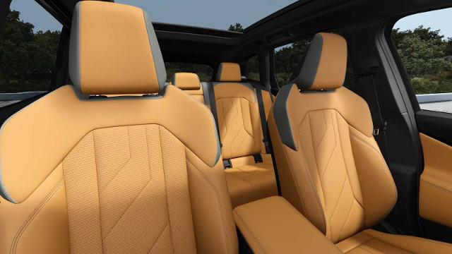 2025 BMW X3 30 xDrive Vehicle Photo in GRAPEVINE, TX 76051