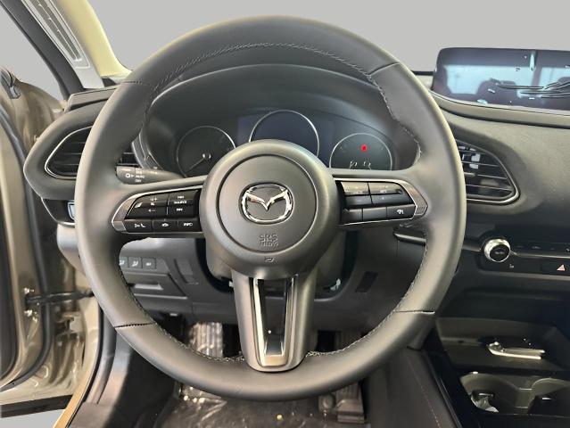 2025 Mazda CX-30 Vehicle Photo in Green Bay, WI 54304