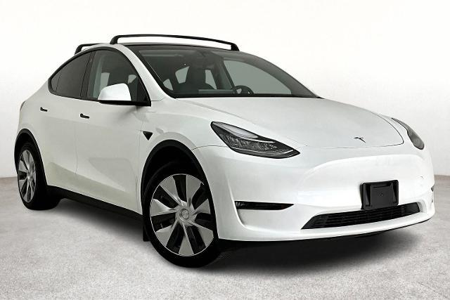 2023 Tesla Model Y Vehicle Photo in San Antonio, TX 78230
