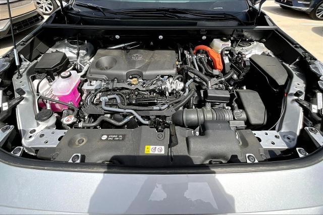 2024 Toyota RAV4 Vehicle Photo in San Antonio, TX 78230