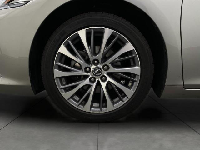 2019 Lexus ES 350 Vehicle Photo in Appleton, WI 54913