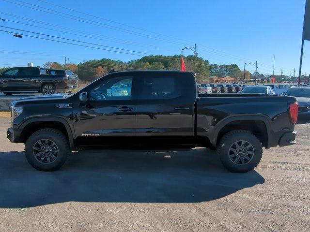 2025 GMC Sierra 1500 Vehicle Photo in ALBERTVILLE, AL 35950-0246