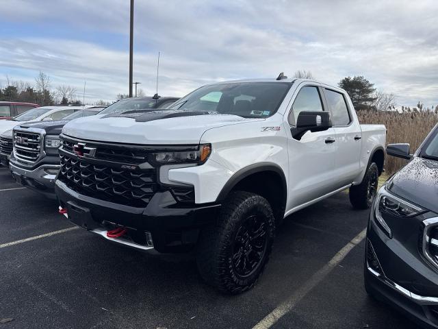 2022 Chevrolet Silverado 1500 Vehicle Photo in WILLIAMSVILLE, NY 14221-2883