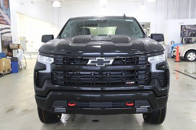 2025 Chevrolet Silverado 1500 Vehicle Photo in MEDINA, OH 44256-9001