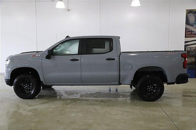 2025 Chevrolet Silverado 1500 Vehicle Photo in MEDINA, OH 44256-9001