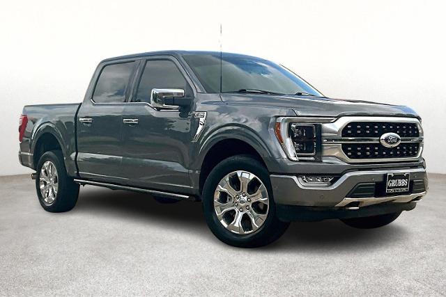 2023 Ford F-150 Vehicle Photo in Houston, TX 77007
