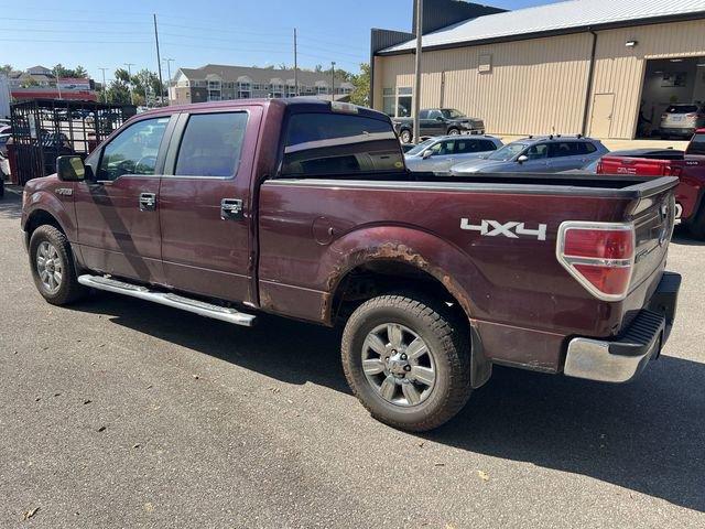 2010 Ford F-150 Vehicle Photo in Marion, IA 52302