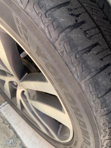 2016 Honda Pilot Vehicle Photo in San Antonio, TX 78230
