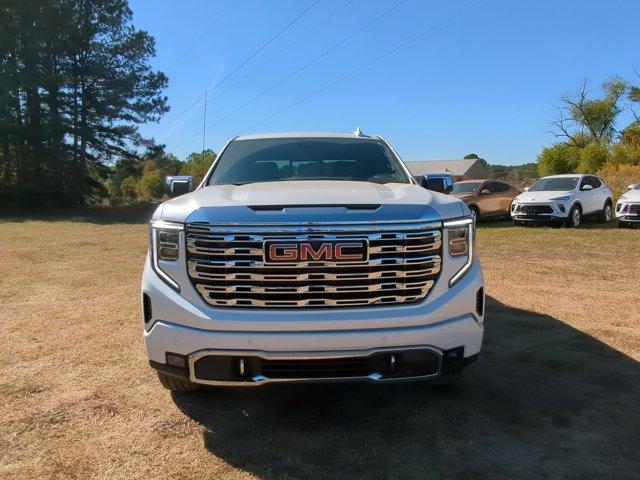 2025 GMC Sierra 1500 Vehicle Photo in ALBERTVILLE, AL 35950-0246