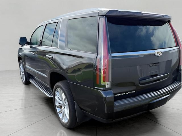 2019 Cadillac Escalade Vehicle Photo in Neenah, WI 54956
