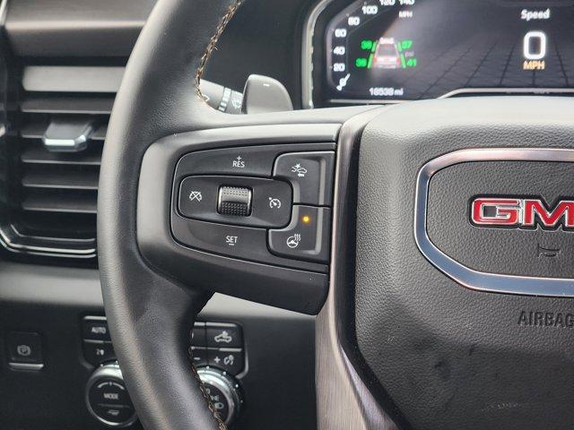 2024 GMC Sierra 1500 Vehicle Photo in Decatur, TX 76234
