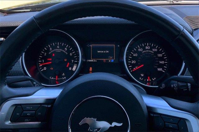 2019 Ford Mustang Vehicle Photo in TOPEKA, KS 66609-0000