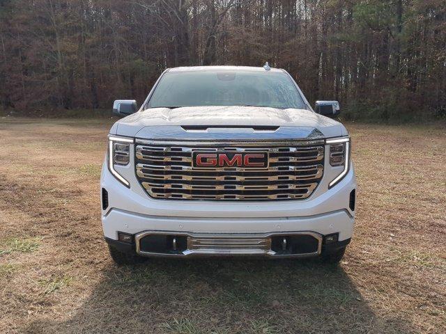 2025 GMC Sierra 1500 Vehicle Photo in ALBERTVILLE, AL 35950-0246