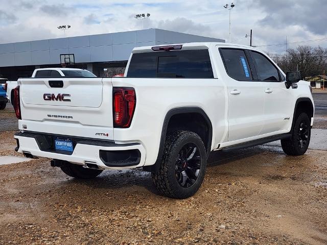 2024 GMC Sierra 1500 Vehicle Photo in PARIS, TX 75460-2116