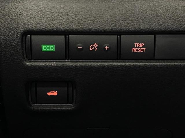 2025 Nissan Sentra Vehicle Photo in Appleton, WI 54913