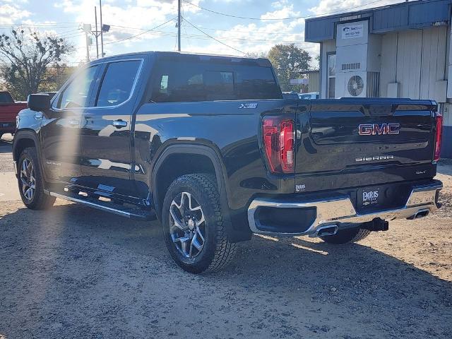 2025 GMC Sierra 1500 Vehicle Photo in PARIS, TX 75460-2116